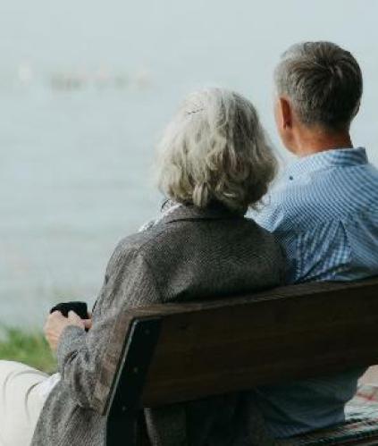 Cap Retraite : réforme applicable au 1er janvier 2026 pour les non-salariés agricoles