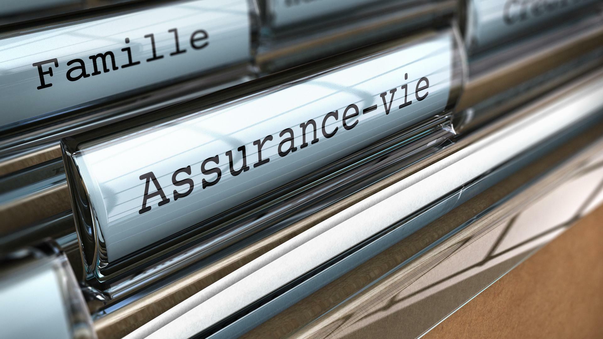 Conseil Patrimoine - Cerfrance Finistère accompagne les dirigeants d'entreprise dans la gestion de leur patrimoine