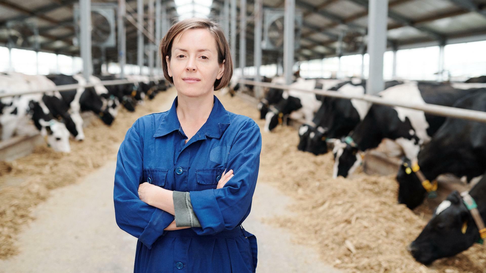 Cerfrance Finistère propose un parcours unique pour les éleveurs laitiers : Managers Lait