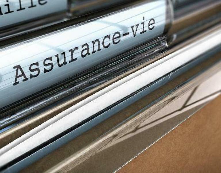 Cerfrance Finistère conseille les chefs d'entreprise dans leur choix en patrimoine, retraite et prévoyance